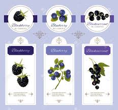 However, the efforts of researchers now are truly making a difference for the pines. Berry Cosmetic Banner With Berry Blueberry And Blackcurrant Royalty Free Cliparts Vectors And Stock Illustration Image 61633003