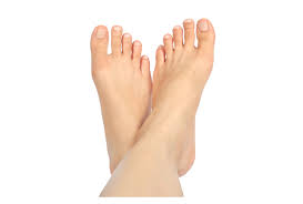 The lower extremity of the vertebrate leg that is in direct contact with the ground in. Ankle Foot Anatomy