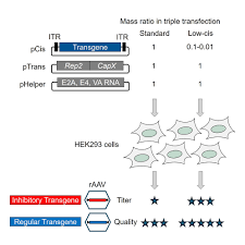 Image result for Gold 1996 AAV