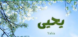 زخرفة اسم يحيى إقرأ زخرفة اسم يحيى واسم يحيى بالانجليزي وإسم يحيى بالعربي