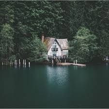 Cabinology Lake House Cabins In The Woods Cabin