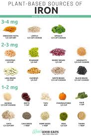 Plant Based Sources Of Iron In 2020 Nutrition Resources Plant Based Nutrition Plant Based