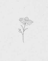 The daisy tattoos are ones of the few tattoos that will look fabulous no matter where you place it. Olivia Botanical Sketch Vectors Flower Sketches Daisy Drawing Flower Line Drawings