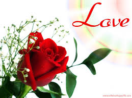 Mahatma gandhi black & white photo. Awesome Rose Love Wallpaper Hd For Mobile Wallpaper