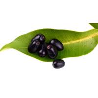 download java plum free png photo images and clipart freepngimg freepngclipart