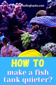 How To Make A Fish Tank Filter Quieter Fish Tank Sound Proofing Tank