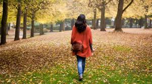 Resultado de imagen para imagen de otoÃ±o