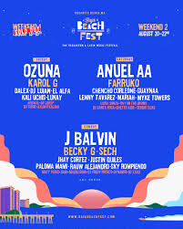 Wondering what to do in india in may 2021? Baja Beach Fest Front Gate Tickets