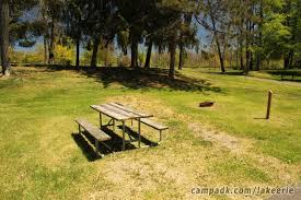 The park is located 8.5 miles from westfield, new york. Lake Erie State Park Campsite Photos Site 93