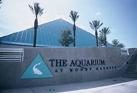 texas aquariums