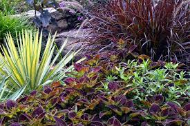 Check spelling or type a new query. Grassroots Lawn Care Greenville Sc Edukasi News