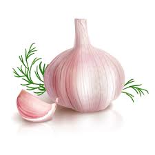 Give the antibiotics to your cat as directed and finish the medicine completely. 12 Best Natural Antibiotics For Infections Medlife Blog Health And Wellness Tips