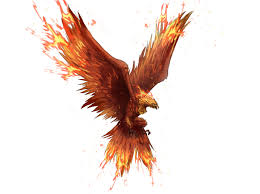 See more evil phoenix wallpaper, phoenix bird wallpaper, phoenix wright wallpaper, river phoenix wallpaper, phoenix dota 2 wallpaper, lg phoenix 2 wallpaper. 29 Phoenix Bird Wallpapers For Mobile Background Wallpaper Hd Collections