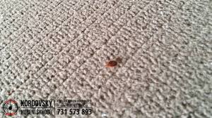 Einfach, schnell und sicher buchen! Hubeni Stenic Kordovsky L Disketne A Spolehlive Do 24hod