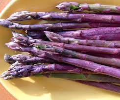 Once the plant is placed in the depression, sift earth over it gently, keeping the roots spread out widely, pack this soil down firmly but carefully, then water the asparagus, and wait. How To Grow Asparagus Like A Pro Gardener S Path