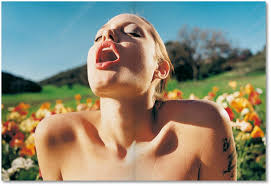 Who is david lachapelle and what does he do? Lachapelle Heaven To Hell Fo Lachapelle David Amazon De Bucher