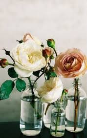 We did not find results for: Pin By Julia Moriarty On Wearing Rose Coloured Glasses Pretty Flowers Beautiful Flowers Flower Arrangements
