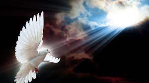 All png images can be used for personal use unless stated otherwise. Holy Spirit Wallpapers Top Free Holy Spirit Backgrounds Wallpaperaccess