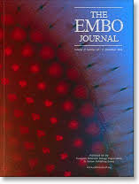 The EMBO Journal: Vol 25, No 15