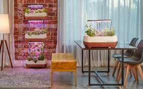 You'll need to check the ph of your plant system and adjust the nutrients. Growing Vegetables Indoors With Grow Lights In Depth Guide Garden For Indoor