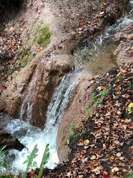 Check spelling or type a new query. Sara S Falls At Manistee River Trail Ft Creepy Skull Michigan