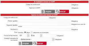 El curp es uno de los documentos más importantes que logra identificar a cada uno de los mexicanos, nos ayuda a poder lograr tener una gran cantidad de. Sacar Curp Gratis Obtiene Tu Clave Online Desde Aqui Y Sin Demoras