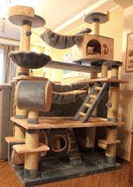 Um Sonho Para Os Felinos Cool Cat Trees Cat Tree Plans Cat Tree