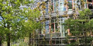 Kleine und mittelständische unternehmen bieten privatpersonen und der öffentlichen hand ihre dienste als garten. Weiterbildung Zur Anpassung An Die Folgen Des Klimawandels Fur Akteure Im Fachbereich Landschaftsarchitektur Garten Landschaftsbau Klimagala Umweltbundesamt