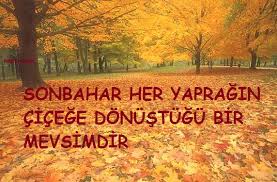 sonbahar sözleri ile ilgili görsel sonucu