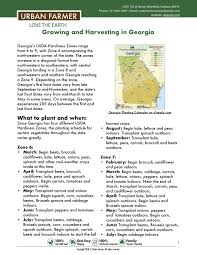 Vegetable gardening at home can be a way to save money while you get up close and personal with nature. Georgia Vegetable Planting Calendar Georgia Gardening Vegetable Planting Calendar When To Plant Vegetables