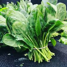 You can buy a big bunch for yourself and share the leftovers with the spinach leaves are also very nutritious. Can Rabbits Eat Spinach Your Questions Answered Bunny Horde