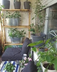 Pin By Anna Nas On Balkongarten Unsecured Credit Cards Planter Pots Planters