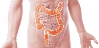 Con malattia autoimmune, in medicina, si indica l'alterazione del sistema immunitario che dà origine a risposte immuni anomale o autoimmuni, cioè dirette contro componenti dell'organismo umano, in grado di determinare un'alterazione funzionale o anatomica del distretto colpito. Malattie Infiammatorie Croniche Intestinali Euroimmun