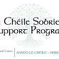 Le Chéile Sobriety Support Group event in Boston, MA