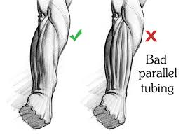 Learn how to draw muscle arm pictures using these outlines or print just for coloring. How To Draw Forearms Arm Anatomy For Artists Proko