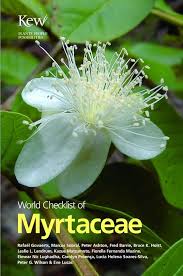 Image result for Myrtaceae