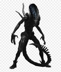 2 Xenomorph Alien Franchise Xenomorph Png Transparent Png 582x910 66668 Pngfind Renaissance unseelie or alien queen. 2 xenomorph alien franchise xenomorph