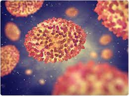 Last updated may 02, 2019. Monkeypox Epidemiology