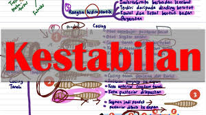 Sains peta minda tingkatan 2. Kestabilan Sains T4 Youtube
