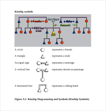 Sample Kinship Diagram Template 9 Free Documents In Pdf Word