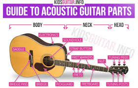 The Parts Of An Acoustic Guitar Ultimate Guide