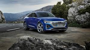 Image result for Navarra Blue 2024 E-Tron