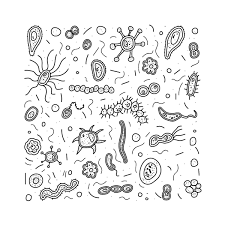 Dogs love to chew on bones, run and fetch balls, and find more time to play! Learning About Germs 10 Printable Coloring Pages Of Germs For Kids Printables 30seconds Mom