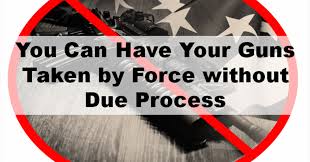 Image result for red flag laws