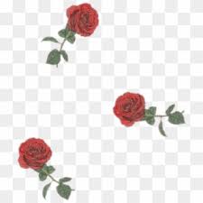 H e y g u y salit of people do wallpaper for phone but i wanna change it a little biti n f oinstagram :bepartofmycrazy lifemain editor: Aesthetic Png Transparent For Free Download Page 2 Pngfind