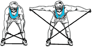 Sa correcte exécution implique nécessairement de se concentrer sur sa posture. Musculation Du Dos 12 Exercices