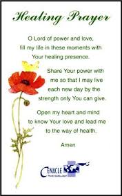 We now ask you to grant our special animal companions the following are pet prayers specifically used for animals which have suffered some form of sickness or injury. Pin By Phyllis Florenzino On Words Prayers For Healing Prayers For Strength Inspirational Prayers
