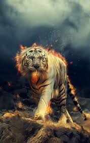 Epingle Par Ghaza Asfar Sur La Force Video Art Des Animaux Sauvages Fond Ecran Animaux Fond D Ecran Tigre