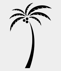 Colouring pictures of coconut tree. Coconut Arecaceae Tree Clip Art Coconut Tree Vector Png Cliparts Cartoons Jing Fm