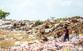 We are rapidly reaching the point of no return for the planet. World Environment Day 2021 June 5 Careourearth